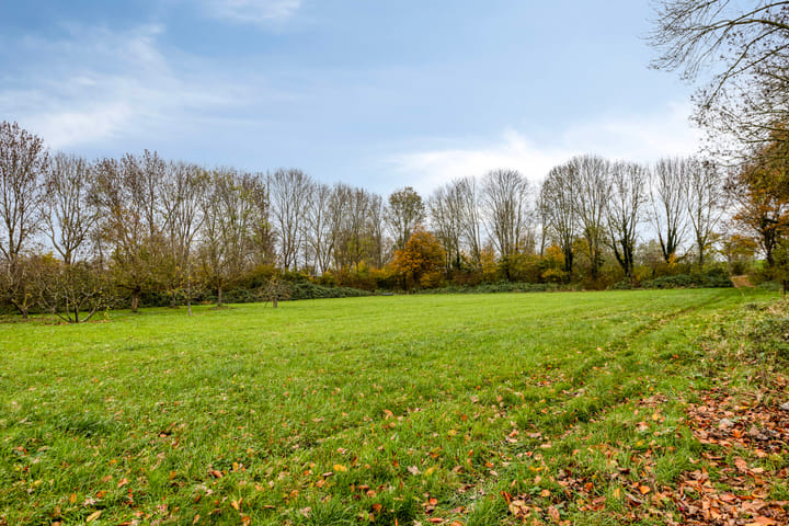 Photo 33 of Kuipershoek 12