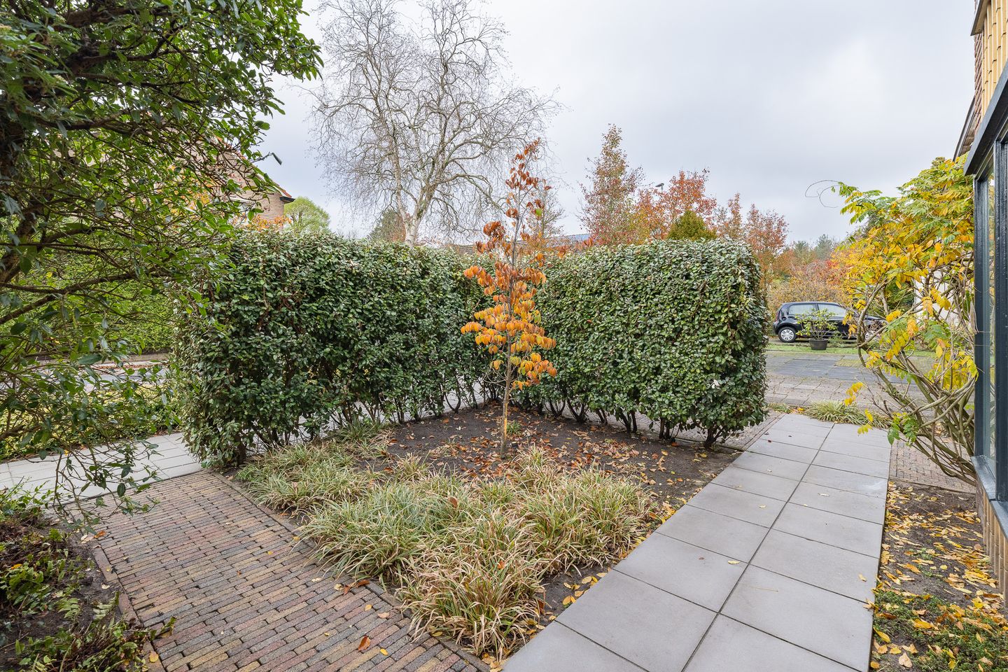 Foto 40 van Tuilland 11