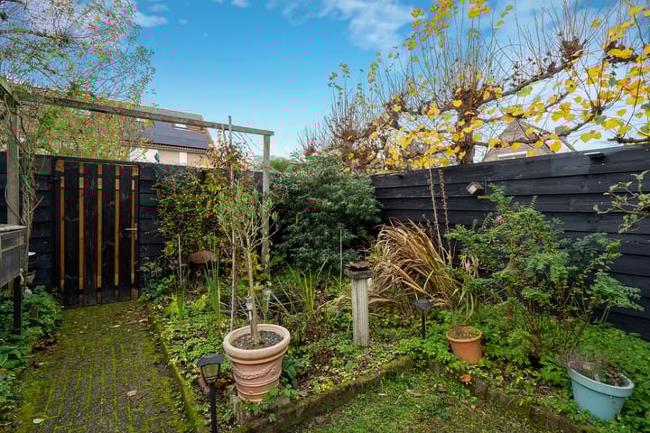 Foto 25 van Knegselstraat 3