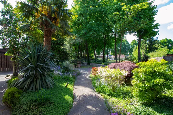 Foto 31 van Zwartakkers 3