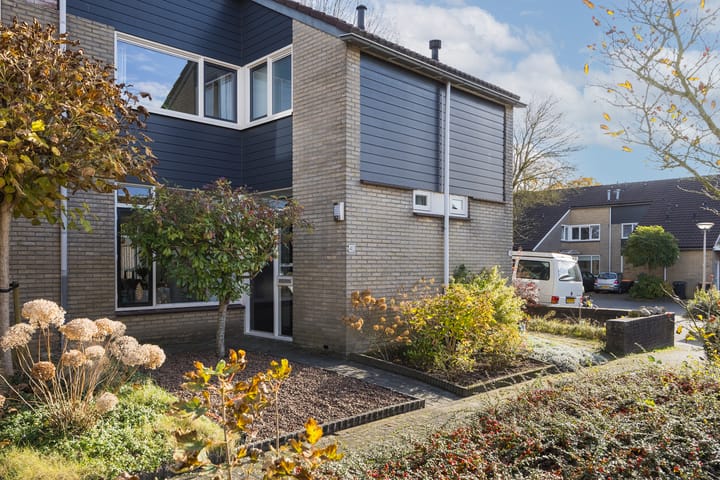 Foto 3 van Dauwnetel 40