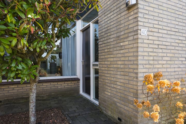 Foto 4 van Dauwnetel 40