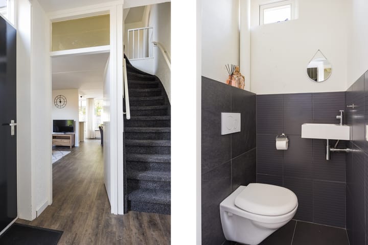 Foto 5 van Dauwnetel 40