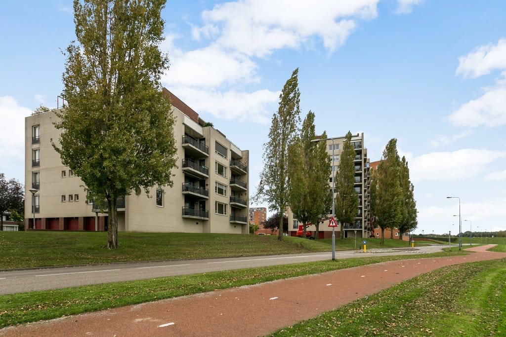 Foto 18 van Schout van Bergaignestraat 63