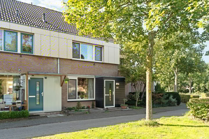 Foto 8 van Hofmark 301