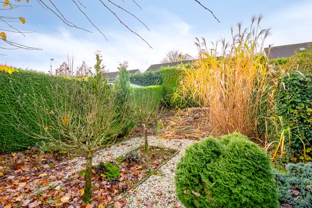 Foto 26 van Jacobusstraat 17