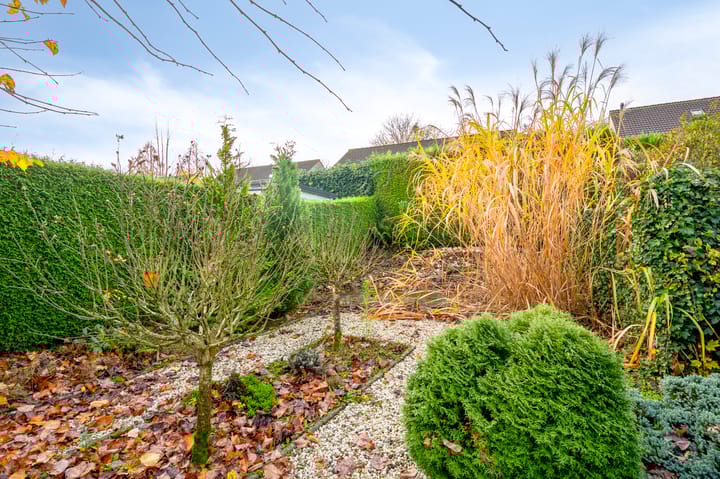 Photo 26 of Jacobusstraat 17