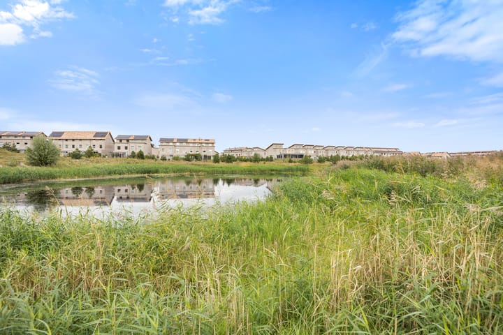 Photo 41 of Sterduinstraat 107