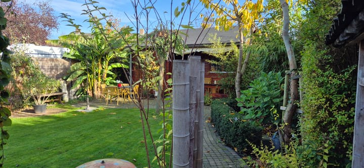 Photo 55 of Burgemeester Buskensstraat 20