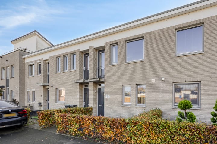 Foto 5 van Havikskruid 34