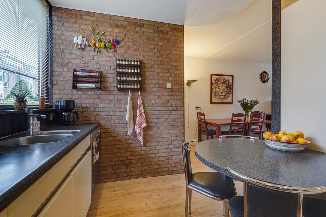 Photo 8 of Oleander 19