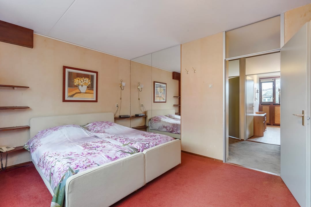 Photo 26 of Oleander 19