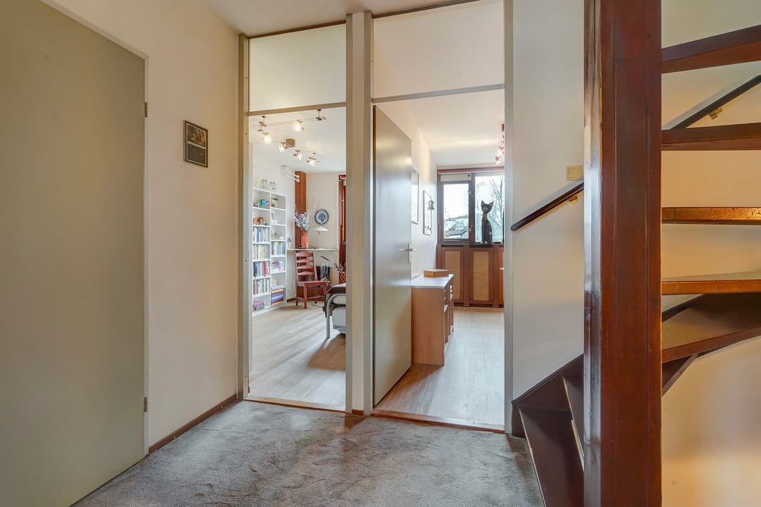 Photo 31 of Oleander 19