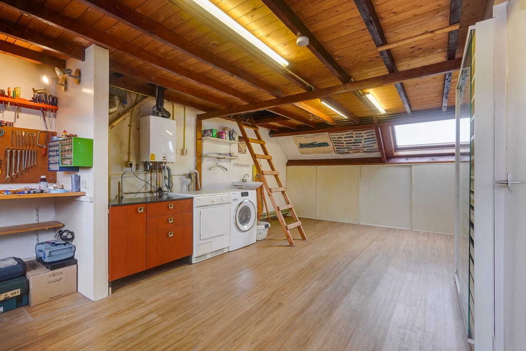 Photo 38 of Oleander 19