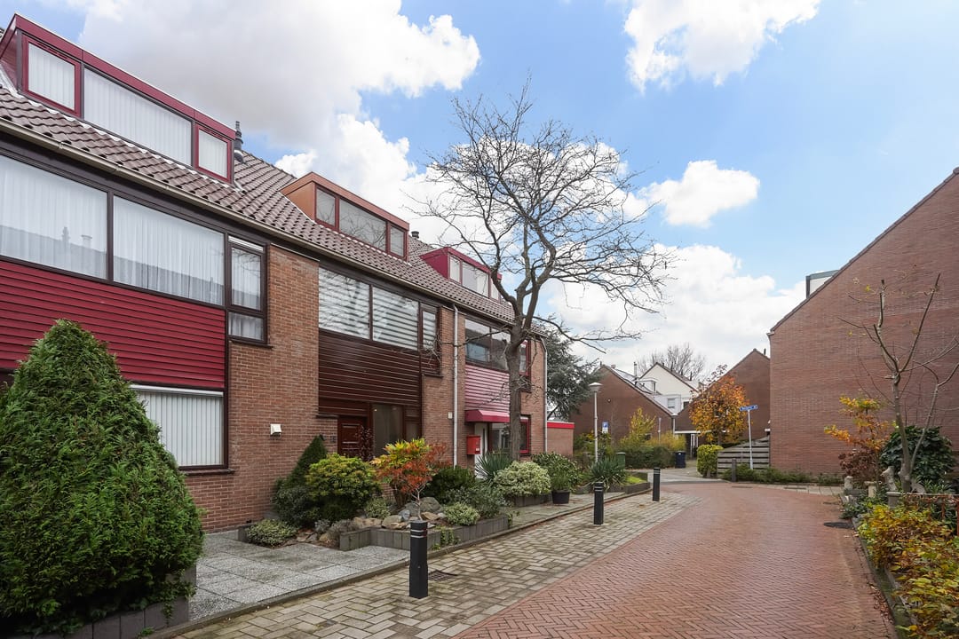 Photo 46 of Oleander 19