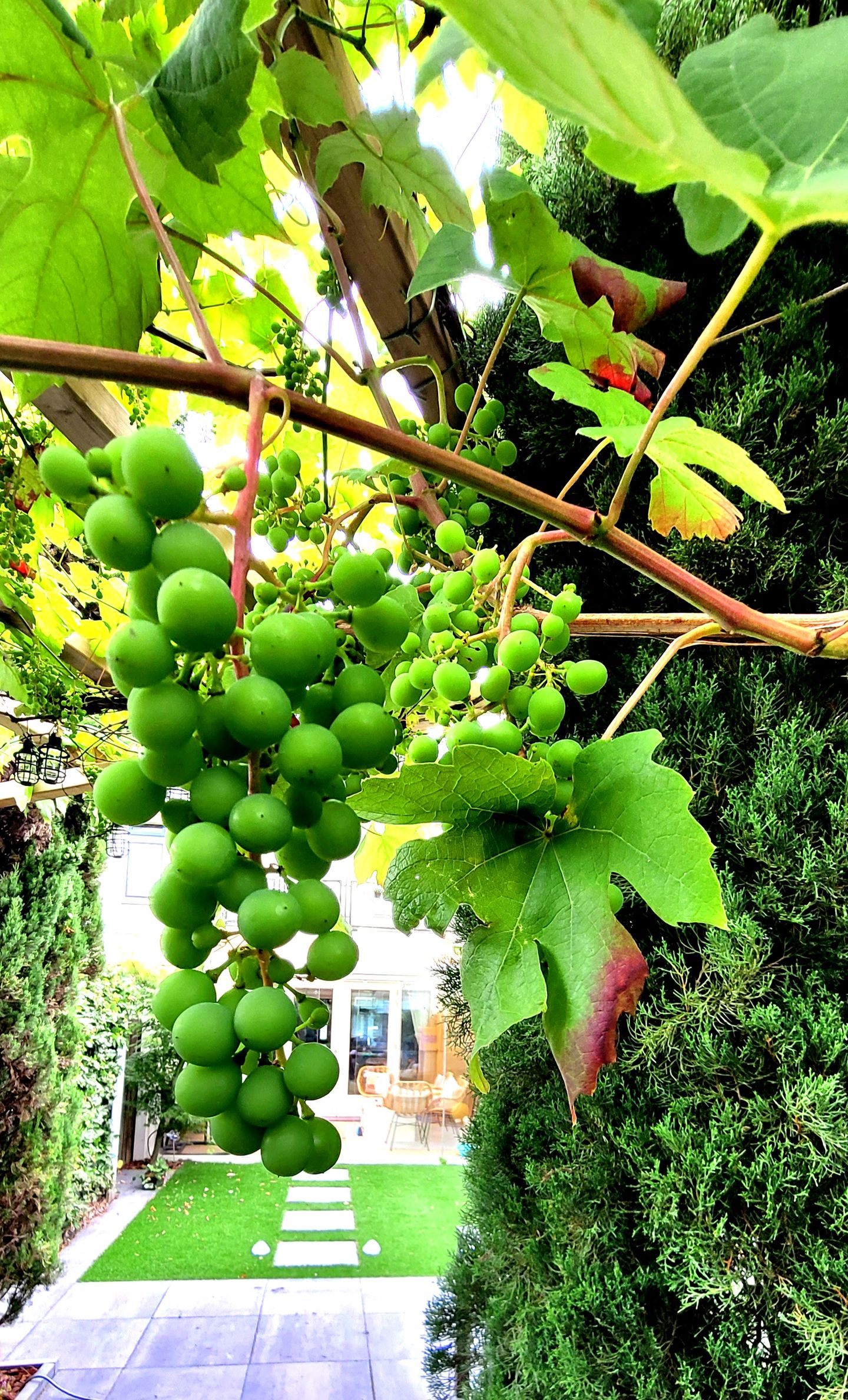 Foto 49 van Theo van Doesburgstraat 87