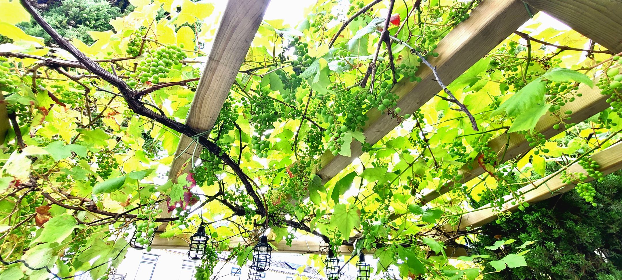 Foto 48 van Theo van Doesburgstraat 87