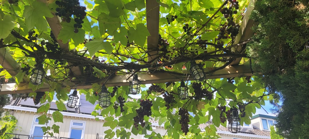 Foto 47 van Theo van Doesburgstraat 87