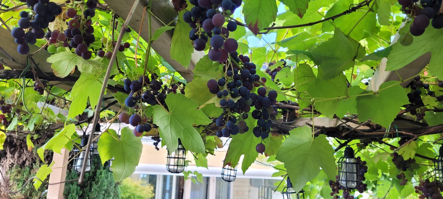 Foto 50 van Theo van Doesburgstraat 87