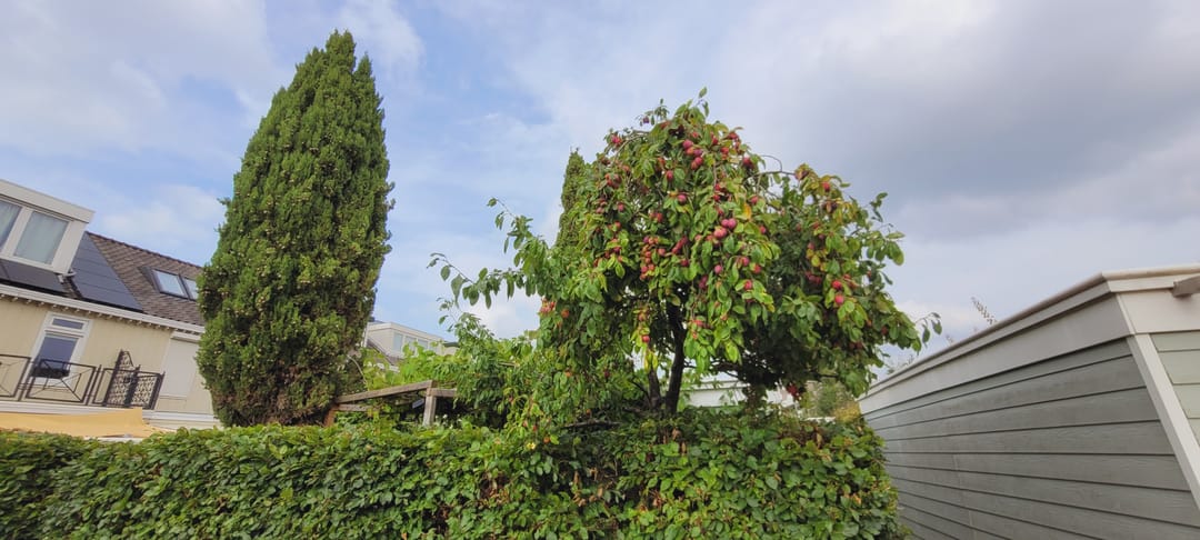 Foto 52 van Theo van Doesburgstraat 87