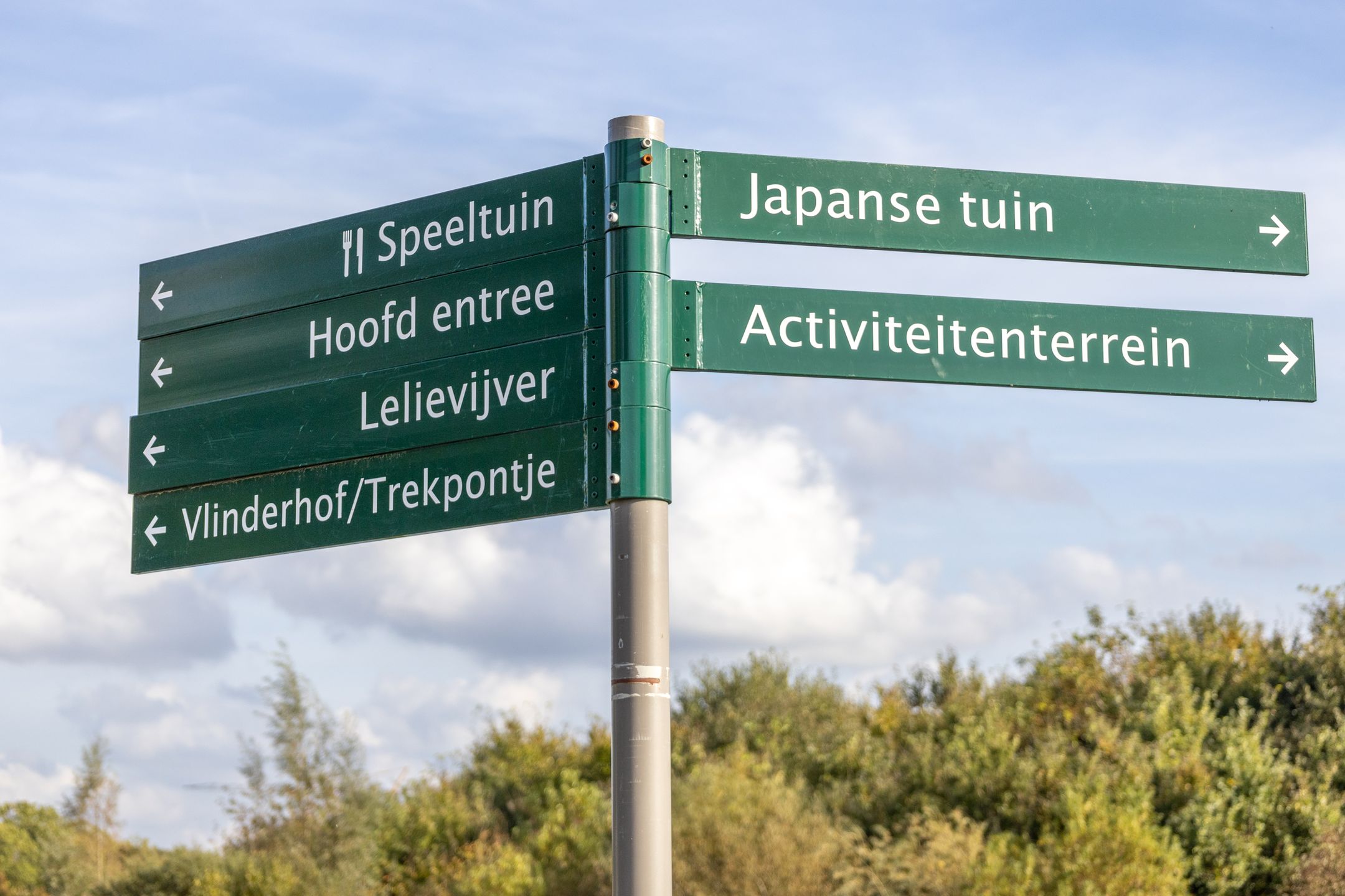 Foto 60 van Theo van Doesburgstraat 87