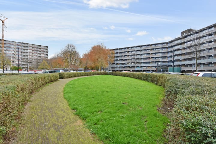 Photo 5 of Kadoelerbos 162