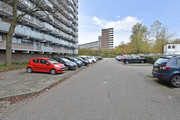 Photo 31 of Kadoelerbos 162