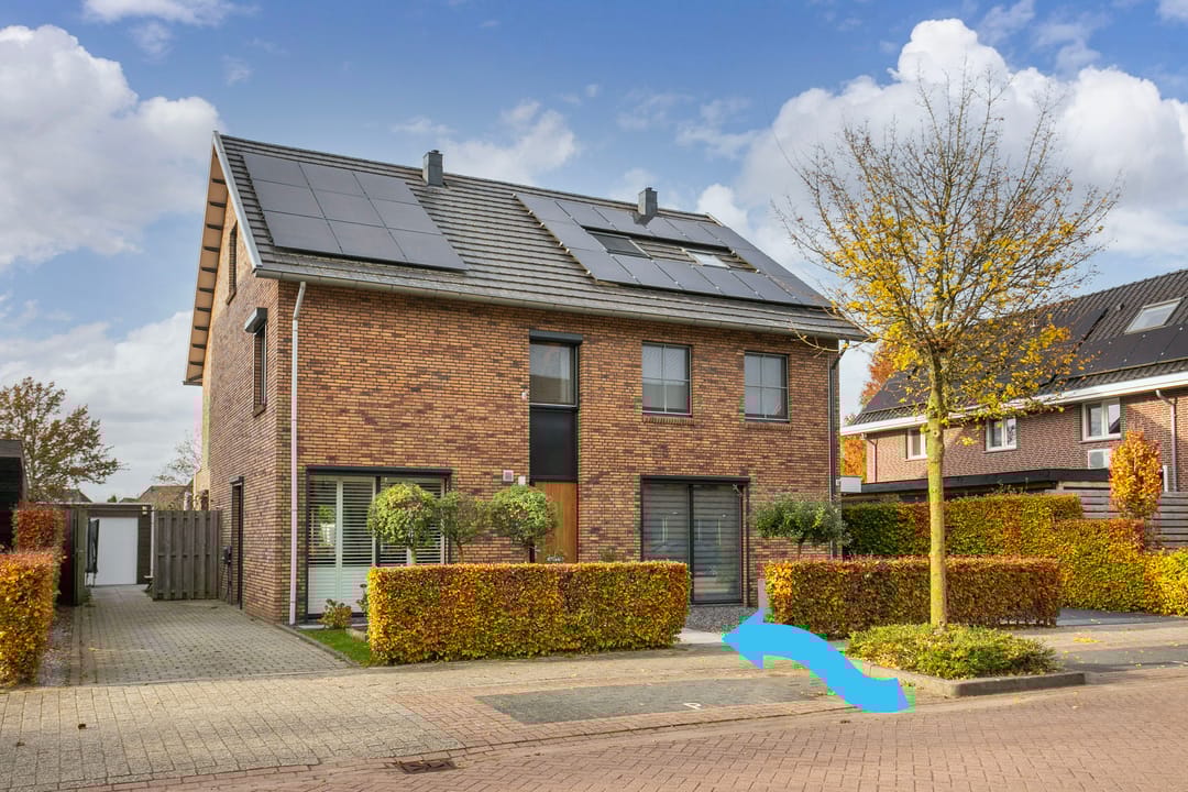 Photo 1 of Black Alicante 116