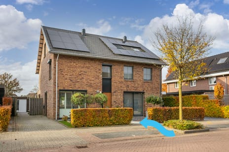 Black Alicante thumbnail