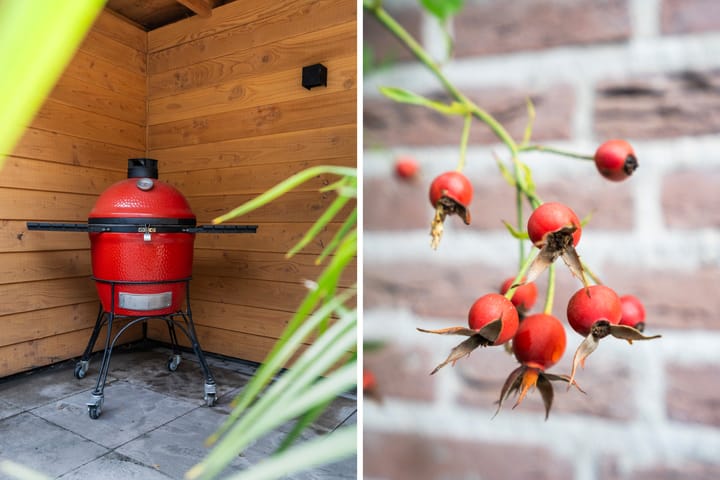 Photo 12 of Apollovlinder 34