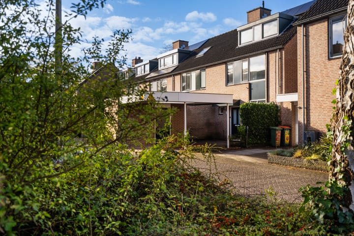 Photo 35 of Apollovlinder 34