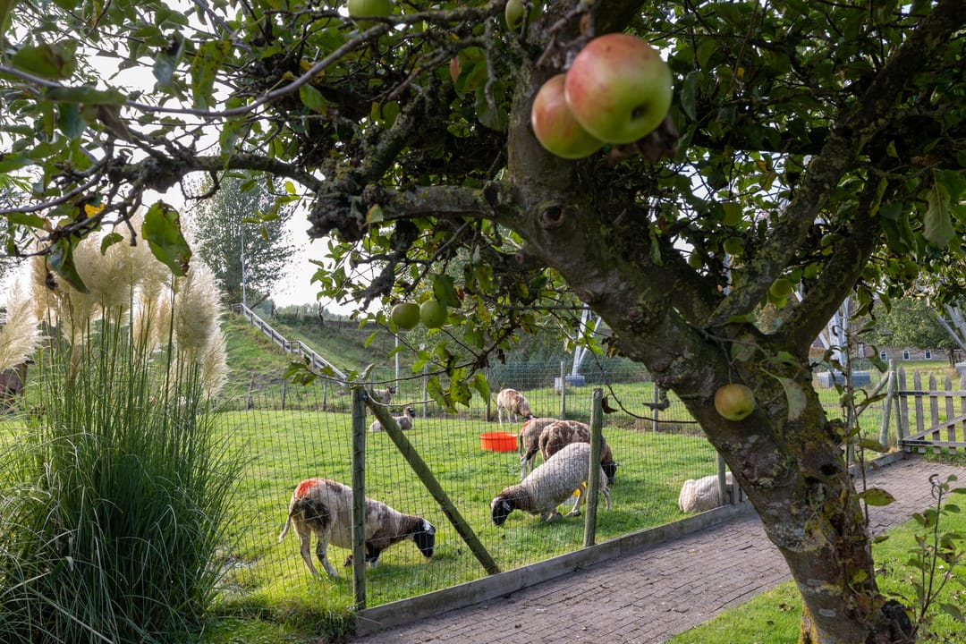 Foto 7 van Goejanverwelledijk 89