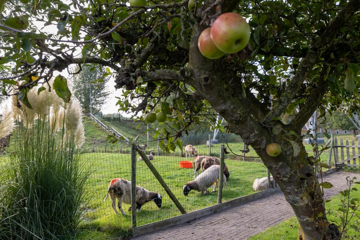 Photo 7 of Goejanverwelledijk 89