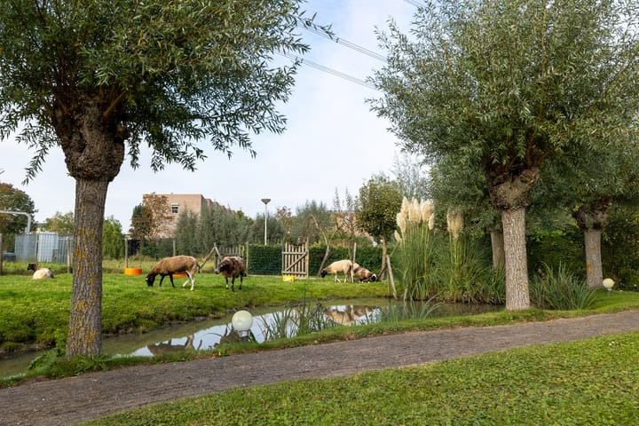 Photo 54 of Goejanverwelledijk 89