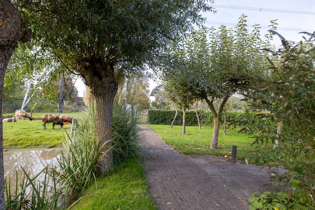 Foto 56 van Goejanverwelledijk 89