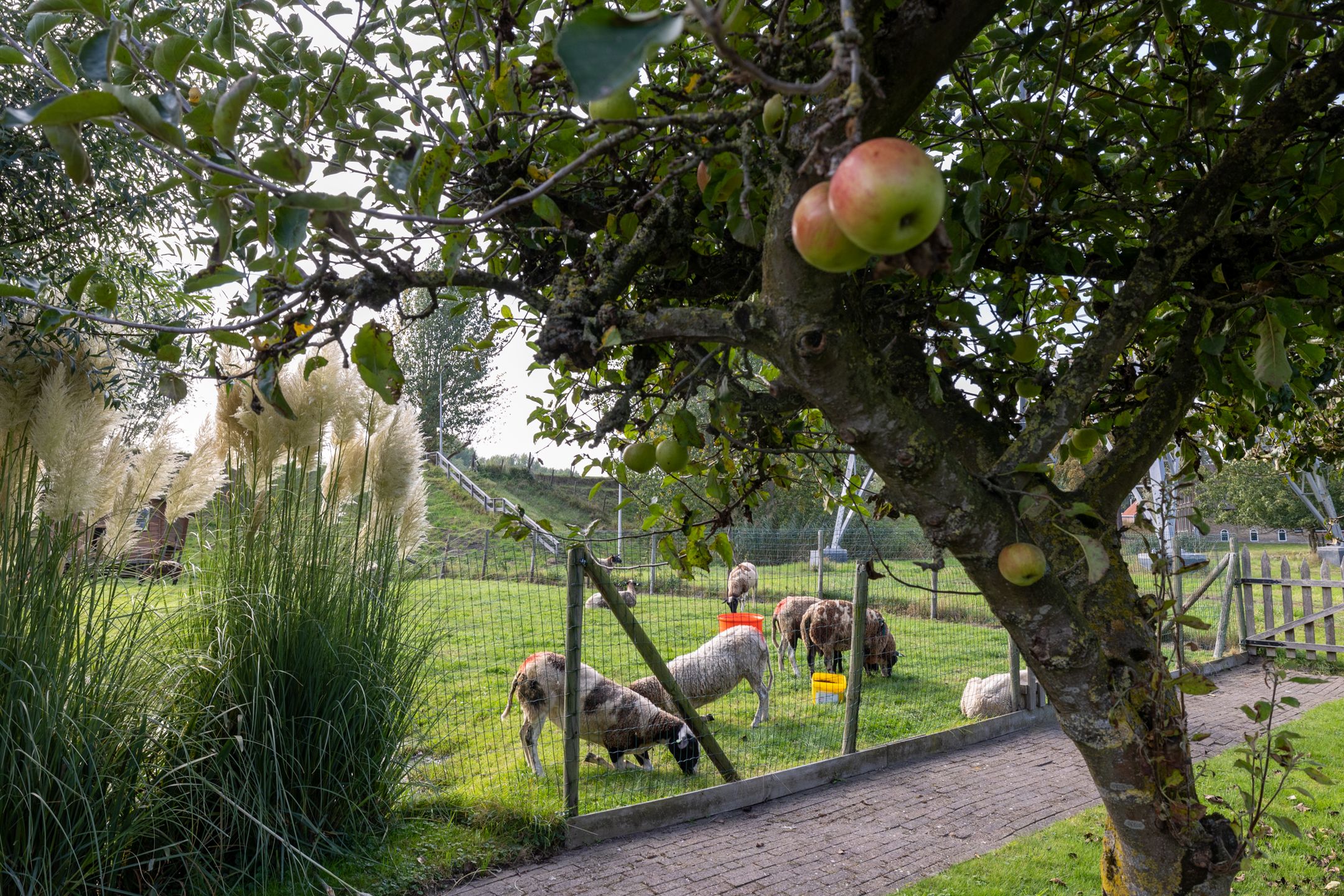 Foto 57 van Goejanverwelledijk 89