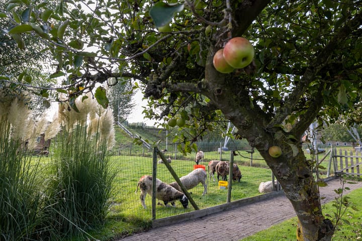 Photo 57 of Goejanverwelledijk 89