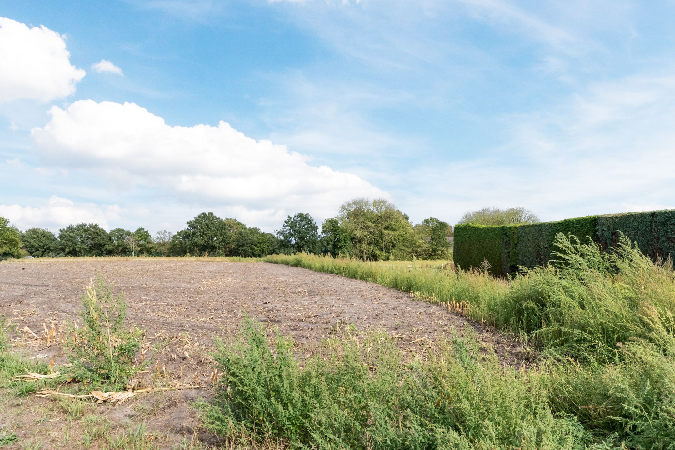 Foto 42 van Rivierensingel 489