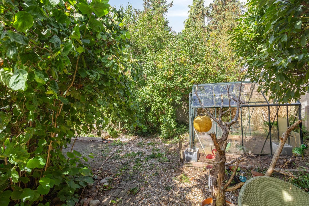 Foto 22 van Asselsestraat 156