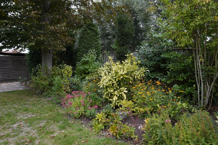 Photo 45 of Hugevlietstraat 12