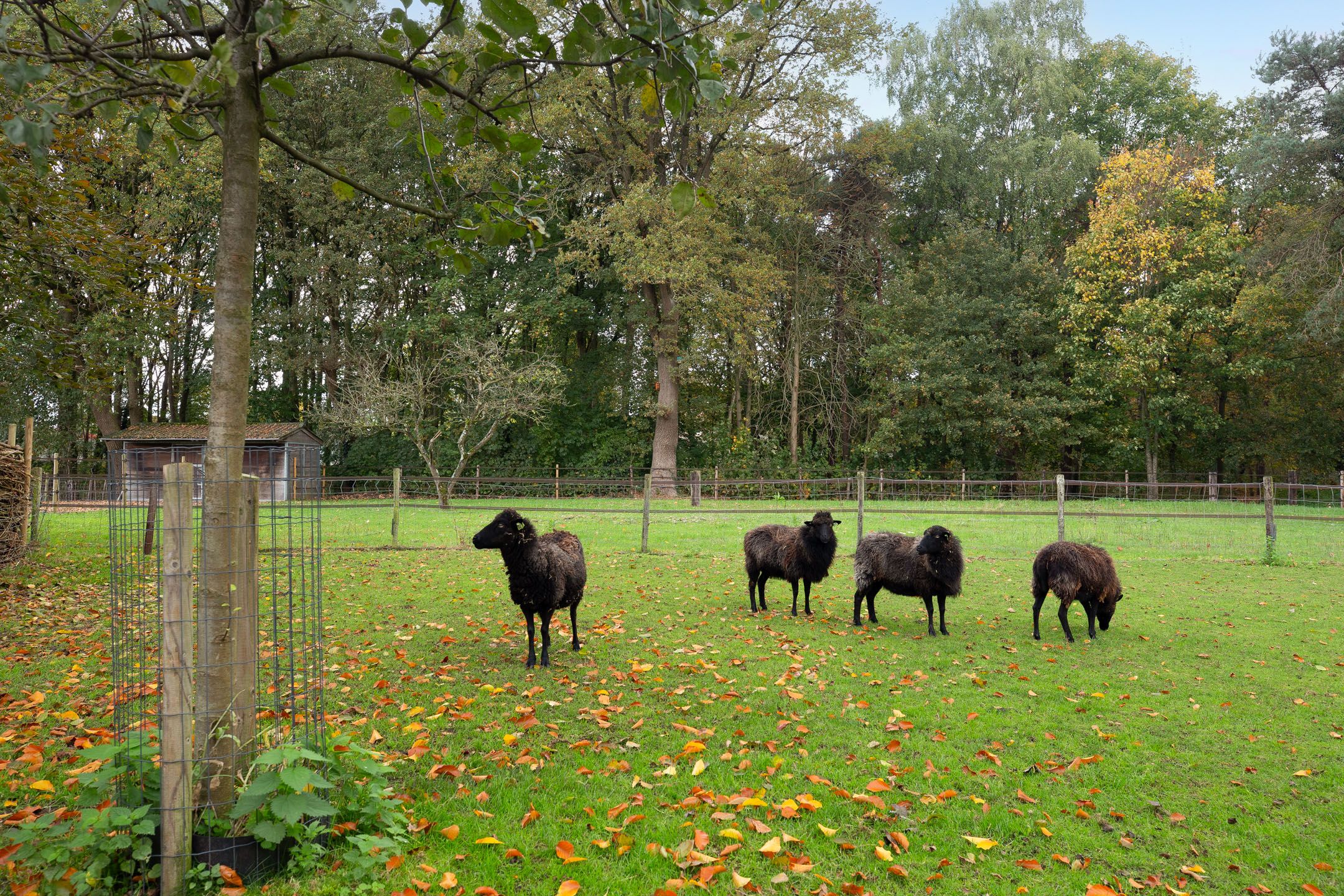 Photo 6 of Land van Kleef 2