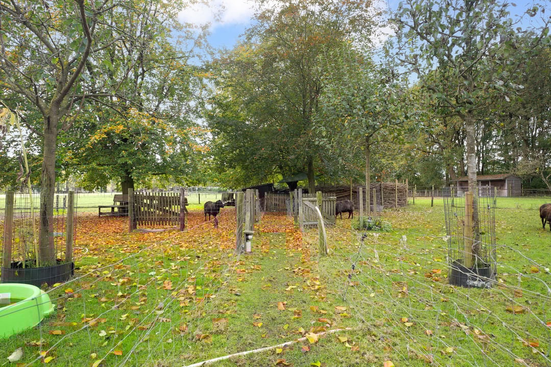 Photo 7 of Land van Kleef 2