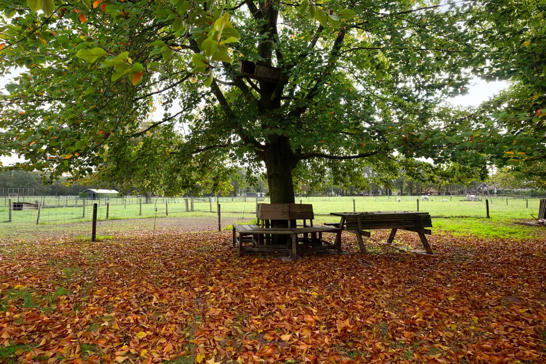 Photo 8 of Land van Kleef 2