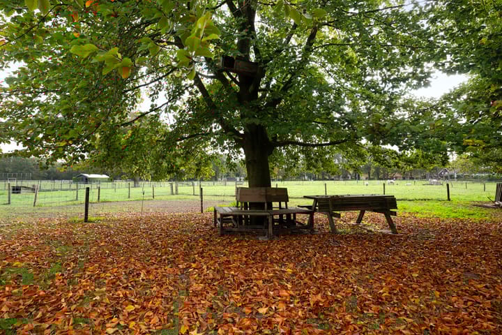 Photo 8 of Land van Kleef 2