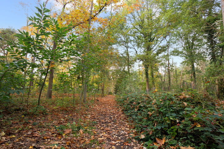 Photo 50 of Land van Kleef 2