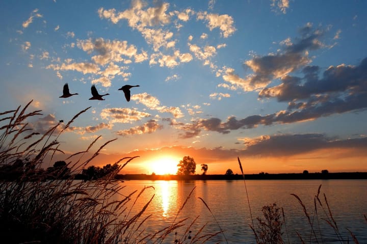 Foto 8 van Almereweg (Regthuys)