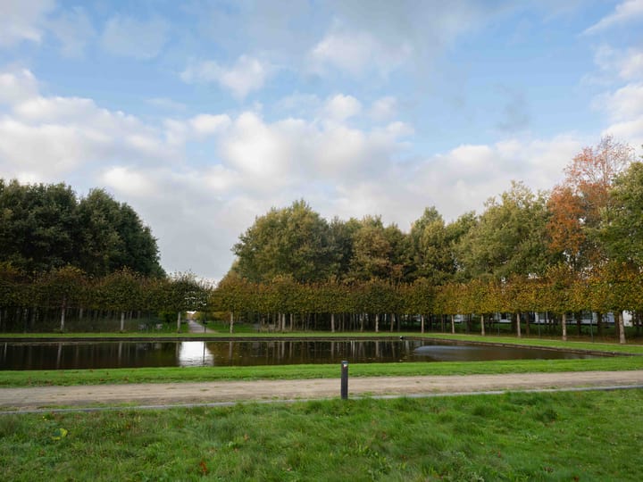 Foto 41 van Burggraaf 6