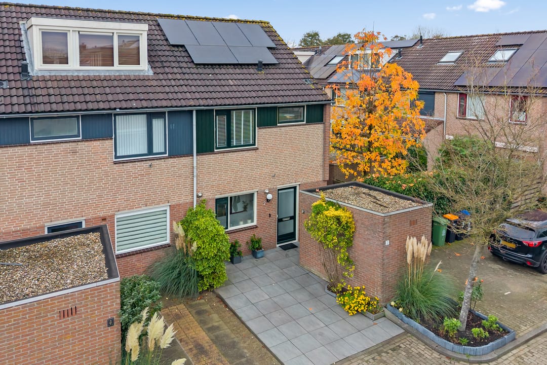 Foto 1 van Kwartelkoning 2