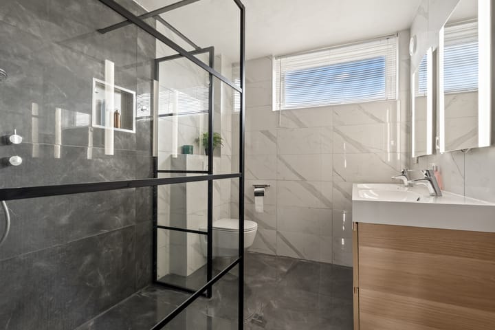 Photo 4 of Kwartelkoning 2