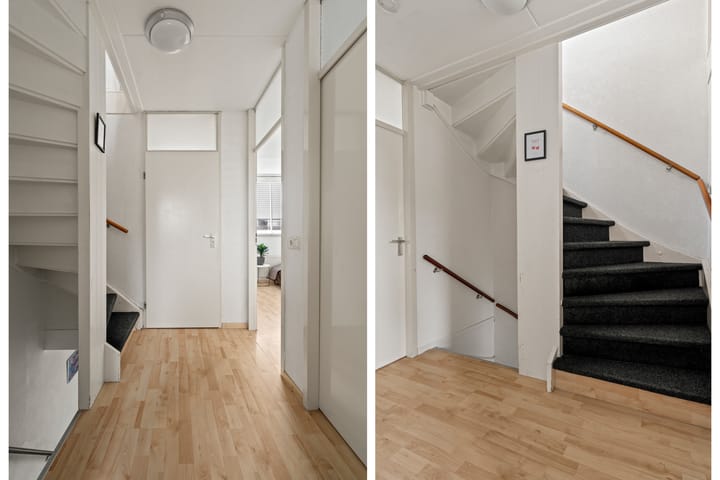 Photo 26 of Kwartelkoning 2